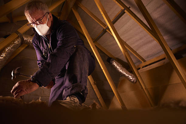 Best Insulation Maintenance and Repair in King Arthur Park, MT